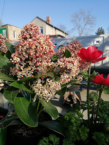 Gartencenter Rahnsdorf