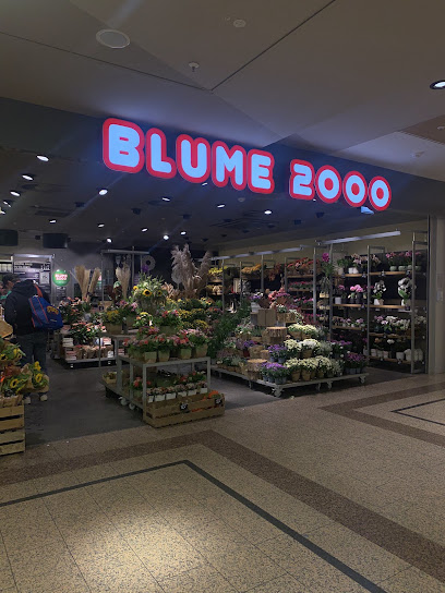 BLUME2000 Neunkirchen