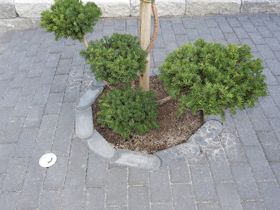 Gartenbau V&S