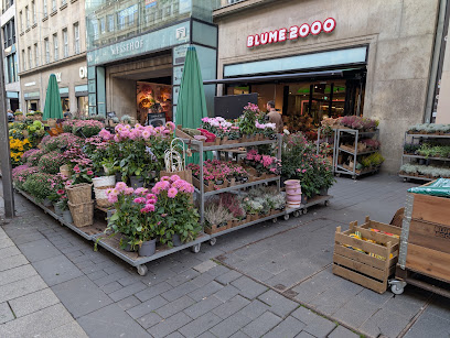 BLUME2000 Leipzig Peterstraße