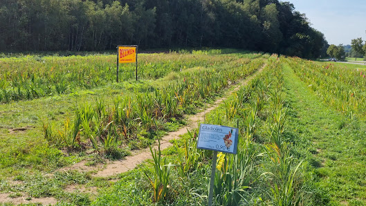 Blumen zum Selbstschneiden