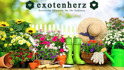 Exotenherz