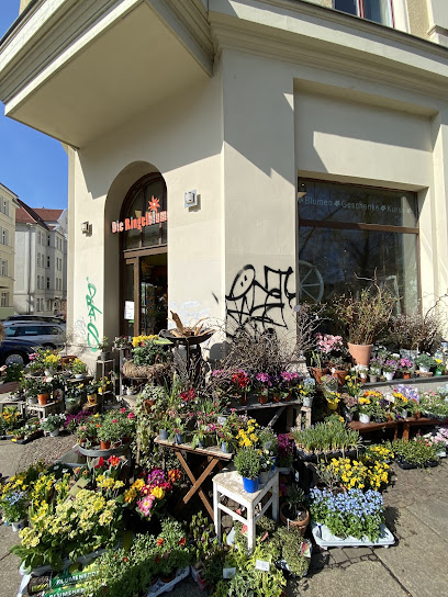 Die Ringelblume
