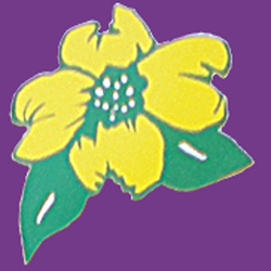 Ilona´s Geschenk- und Blumenstübchen