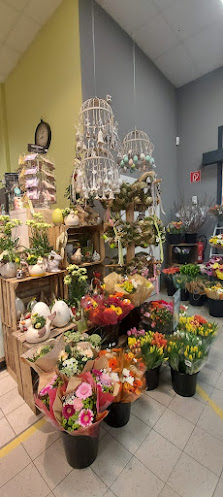 Stiel & Blüte - DER BLUMENLADEN