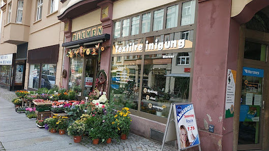Blumenfachgeschäft Steglich