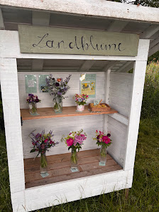 Landblume Wilschdorf