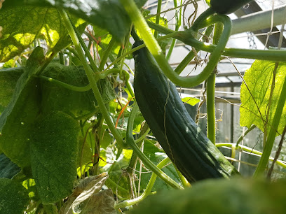 Gartenbaubetrieb J. Sommer