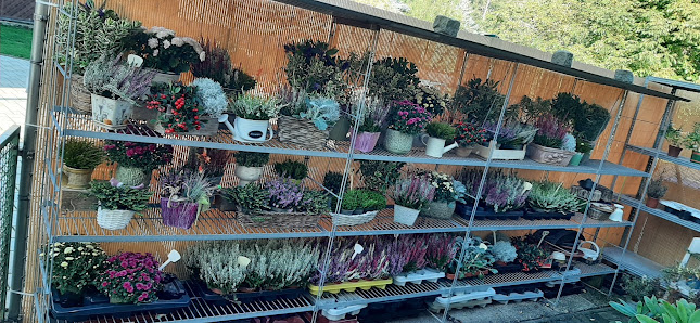 Blumenfreuden Floristikfachgeschäft