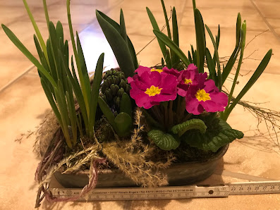 Blumen Wohütt