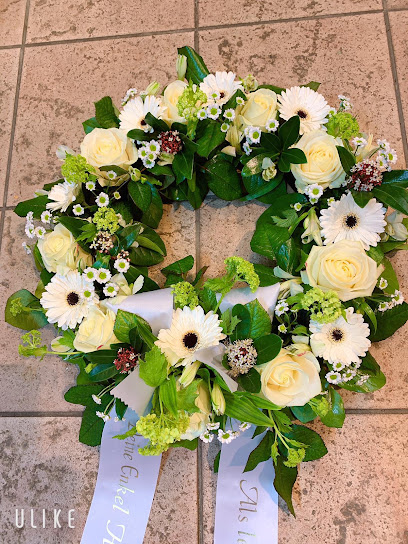 Blumen und Pflanzen Pirna