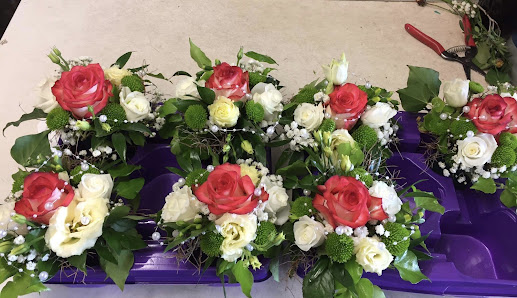 Blumen und Pflanzen Pirna