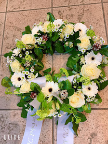 Blumen und Pflanzen Pirna