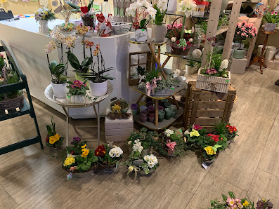 Blumenhandel Preiß Grabpflege in Aschersleben