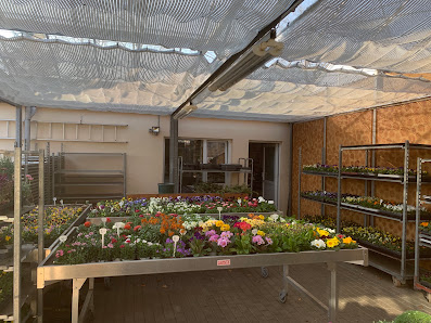 Blumenhandel Preiß Grabpflege in Aschersleben