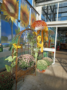 Klee Gartenfachmarkt Olaf Gey GmbH & Co. KG