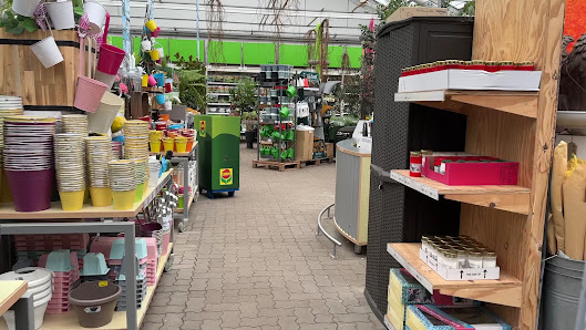 Klee Gartenfachmarkt Olaf Gey GmbH & Co. KG