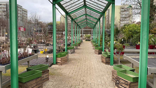 Klee Gartenfachmarkt Olaf Gey GmbH & Co. KG
