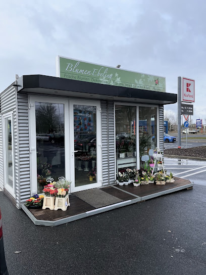 Blumen Ebeling