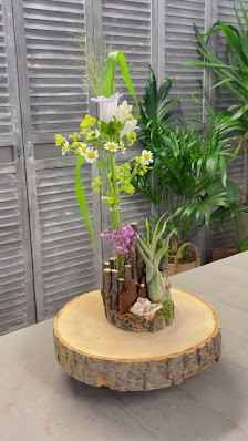 Blumen Ostwind 2