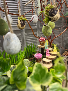 Blumen Ostwind 2