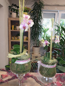 Steffis Blumenladen, Inh. Steffi Ressin