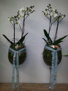 Steffis Blumenladen, Inh. Steffi Ressin