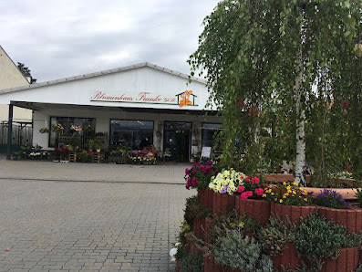 Blumenhaus Franke Gbr