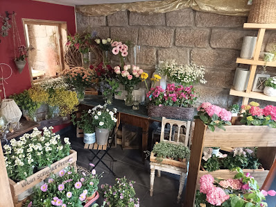 Blumenbändiger Pirna