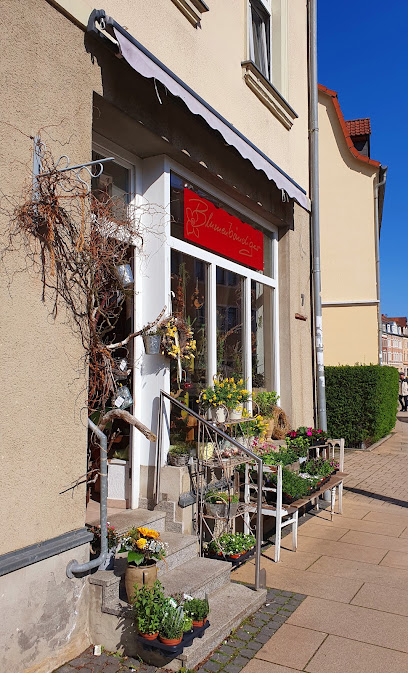 Blumenbändiger Pirna