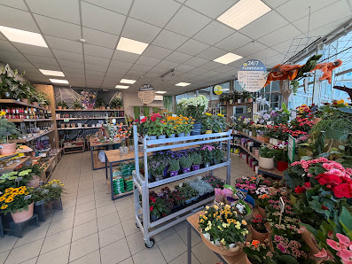 Blumengeschäft Bimberg - Filiale Unicent