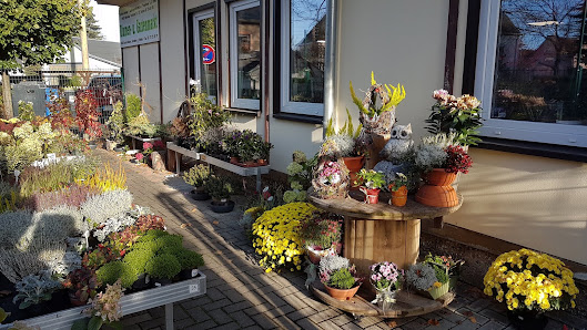 RHG Garten- & Blumenmarkt Brand-Erbisdorf