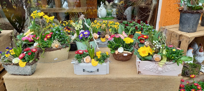 Blumen & Floristik Inh. D. Kästner