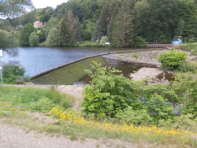 Gärtnerei Böhme Inh. Patrick Böhme