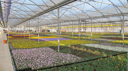 Gartenbau Salzwedel GmbH