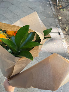 Blumen & Pflanzen