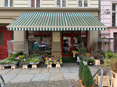Blumen & Pflanzen