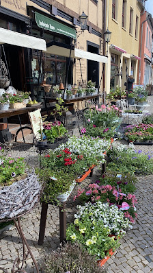 Ambiente Haus Dörte Düsedau