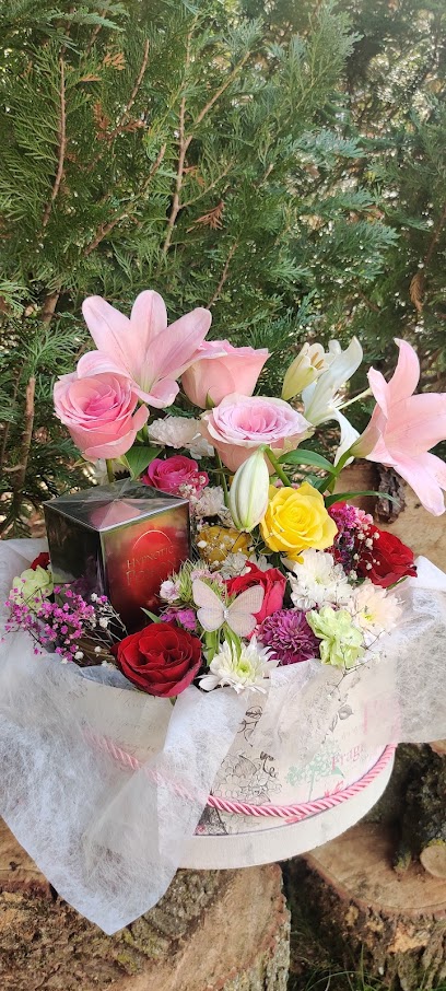 BlumenBox Schreiersgrün