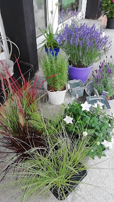 BlumenEck Rahmig