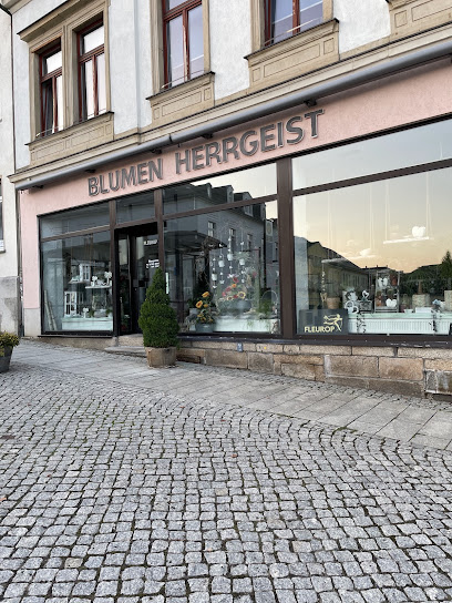 Tilo Herrgeist