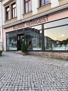 Tilo Herrgeist