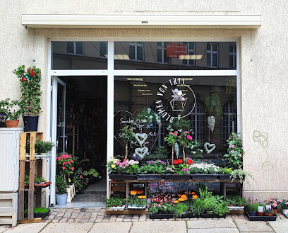 Blumen von Iris