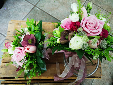 Blumen von Iris