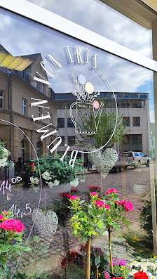 Blumen von Iris