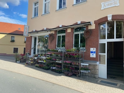 Blumeneck Weischlitz