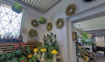 Blumenliebe Vergissmeinnicht