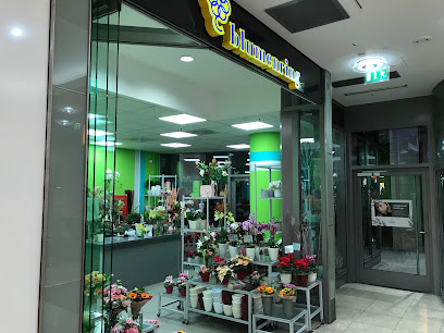 Blumenring Plauen