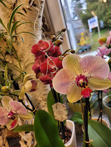 Katja's Blumenkiste
