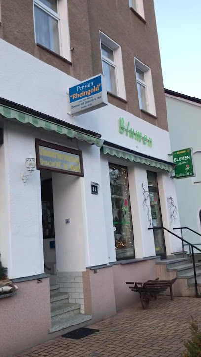 Adorf/Vogtland